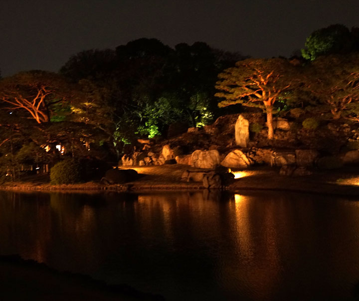 六義園　桜ライトアップ