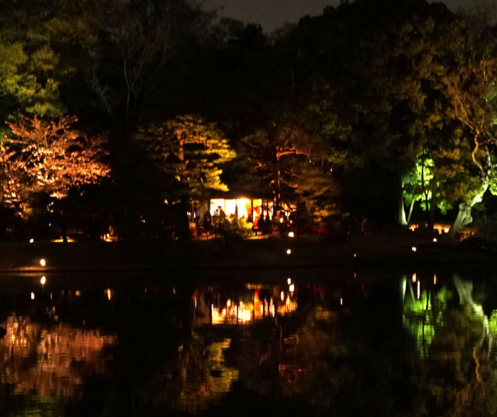 六義園　桜ライトアップ